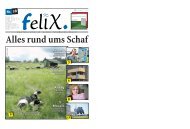 rund ums Schaf - Mediarbon - felix