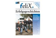felix_beilage 31.10.2008 - Mediarbon - felix