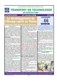 Le développement de l'élevage caprin au Maroc