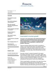 Newsletter no. 18 June 2012 - Femern