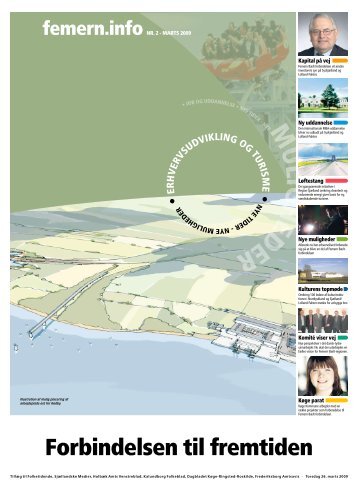 LIG HEDE - Femern Belt Development
