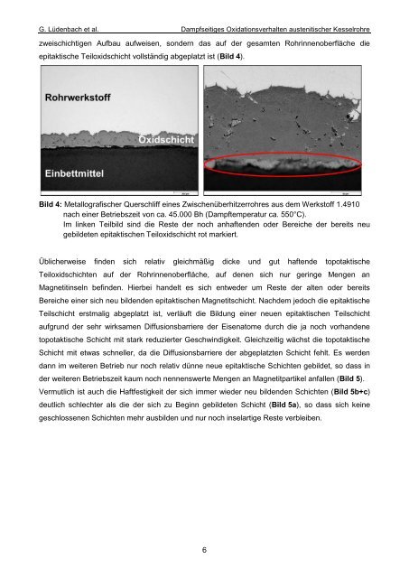 Dampfseitiges Oxidationsverhalten austenitischer Kesselrohre