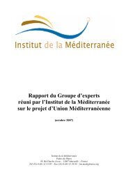 Rapport du Groupe d'experts réuni par l'Institut de la ... - Femise