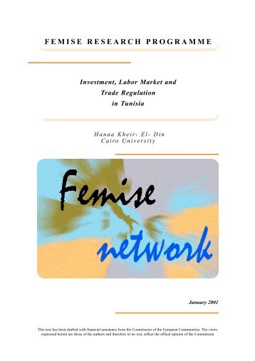 FEMISE RESEARCH PROGRAMME