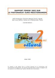 rapport femise 2002 sur le partenariat euro-mediterraneen