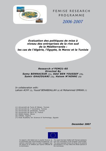 Full Report/Rapport Complet en PDF - Femise
