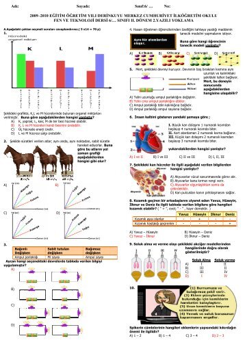 Adı: Soyadı: Sınıf:6/ … No: 2009–2010 EĞİTİM ... - Fen Okulu