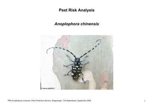 Pest Risk Analysis - The Food and Environment Research Agency