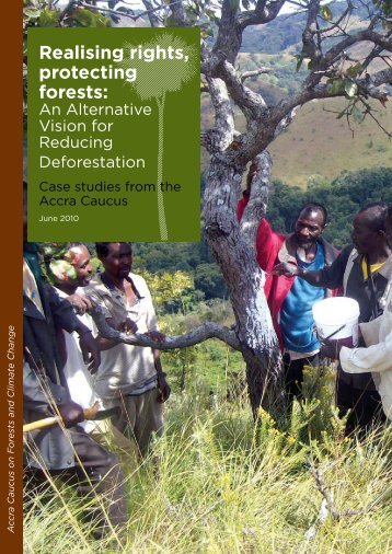 Realising rights, protecting forests: - Rainforest Foundation UK