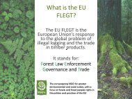 What is EU FLEGT.pdf - Fern