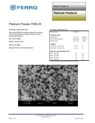 Platinum Products Platinum Powder 7000-25 - Ferro