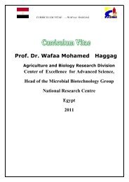 Prof. Dr. Wafaa Mohamed Haggag - The International Workshop on ...