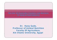 Dr. Hany Gado, Professor of Animal Nutrition Faculty Of Agriculture ...