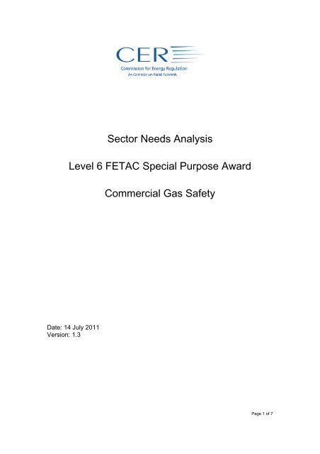Sector Needs Analysis Level 6 FETAC Special Purpose Award ...