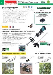 36V Li-Ion Programm