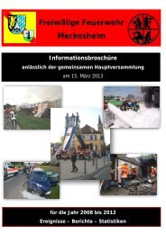 Informations - Feuerwehr Meckesheim