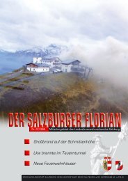 Florian 07/2008 - Landesfeuerwehrverband Salzburg