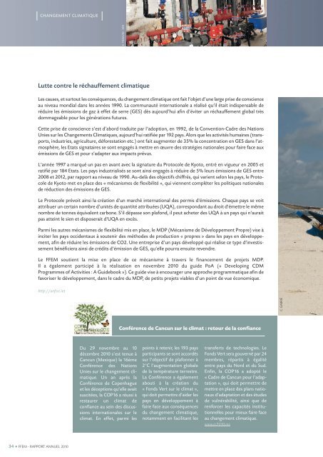 Rapport annuel 2010 - (PDF - 5837 Ko) - FFEM