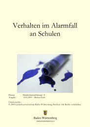 Verhalten im Alarmfall an Schulen_HP2b Text - Freiwillige ...