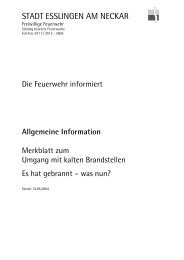 merkblatt zum umgang mit kalten brandstellen.pdf - Freiwillige ...