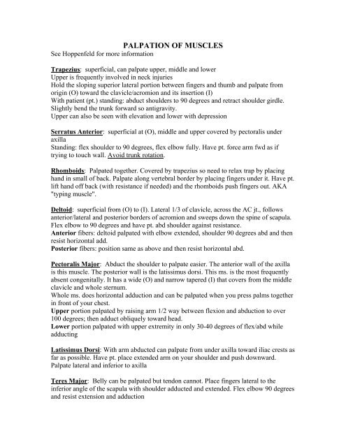 PALPATION OF MUSCLES