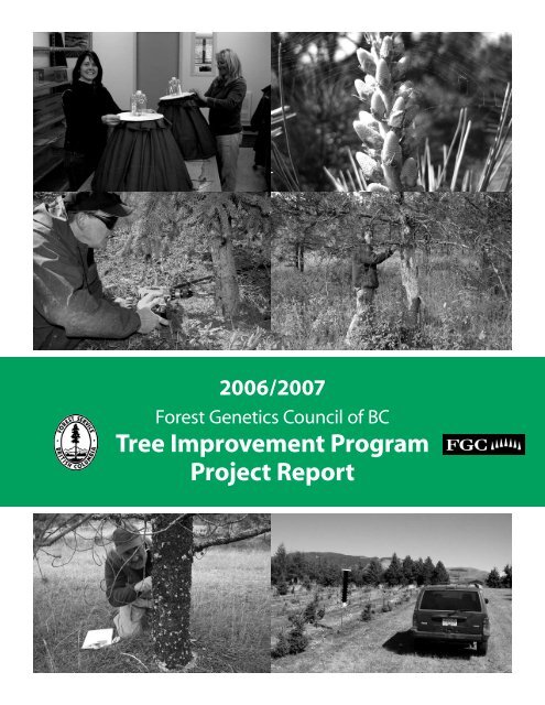 Tree Improvement Program Project Report 2006 / 2007