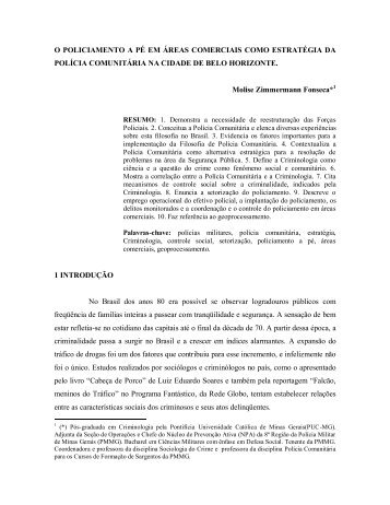 o policiamento a pé em áreas comerciais como estratégia da polícia ...