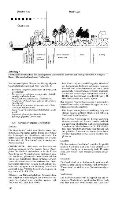 Wandel von Flora und Vegetation nordalpiner Wildflußlandschaften ...