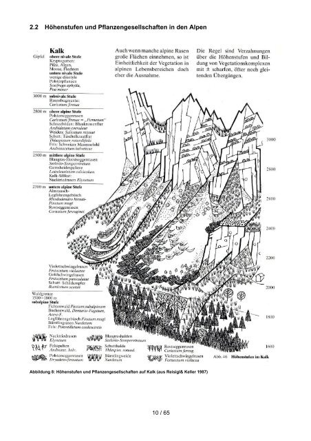 11. Alpine Workshop 2013 - Evaluierung der Umsetzung Natura ...