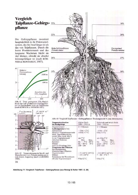 11. Alpine Workshop 2013 - Evaluierung der Umsetzung Natura ...