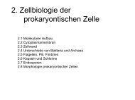 4 Zellbiologie1.pdf