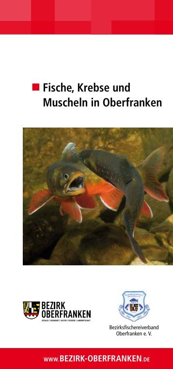 Fische, Krebse und Muscheln in Oberfranken - Bezirk Oberfranken