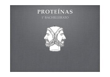 PROTEINAS