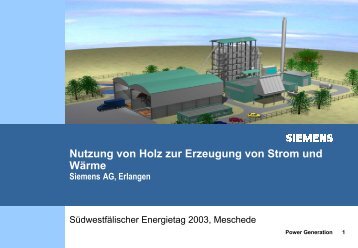 Nutzung von Holz zur Erzeugung von Strom und Wärme