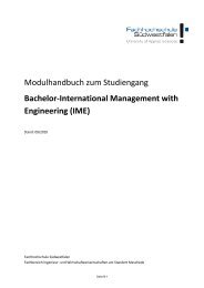 Modulhandbuch zum Studiengang Bachelor-International ...