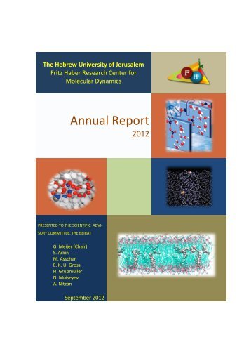 Annual Report 2012 - The Fritz Haber Center for Molecular Research