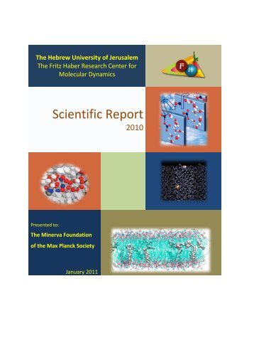 Annual Report 2010 - The Fritz Haber Center for Molecular Research