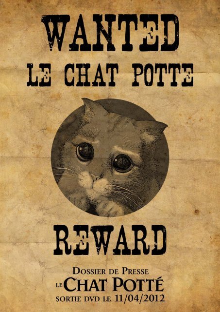 Le Chat Potte Foxoo