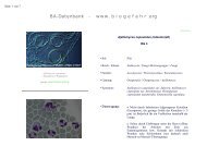 Datenblatt - Ajellomyces capsulatus