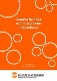 Svenska hemlösa och missbrukare i Köpenhamn, 624 kB