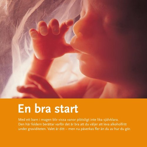En bra start, 329 kB - Statens folkhälsoinstitut