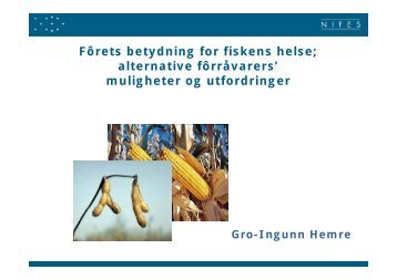Forets betydning for fiskens helse - FHL
