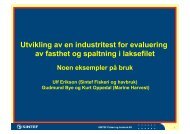 Utvikling av en industritest for evaluering av fasthet og ... - FHL