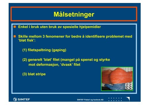 Utvikling av en industritest for evaluering av fasthet og ... - FHL