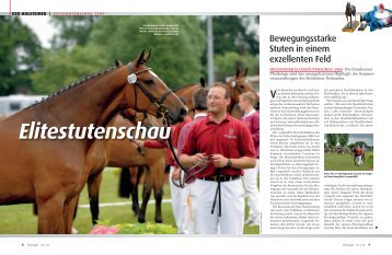 HOLSTEINER ELITESTUTENSCHAU 2009 - Pferd+Sport