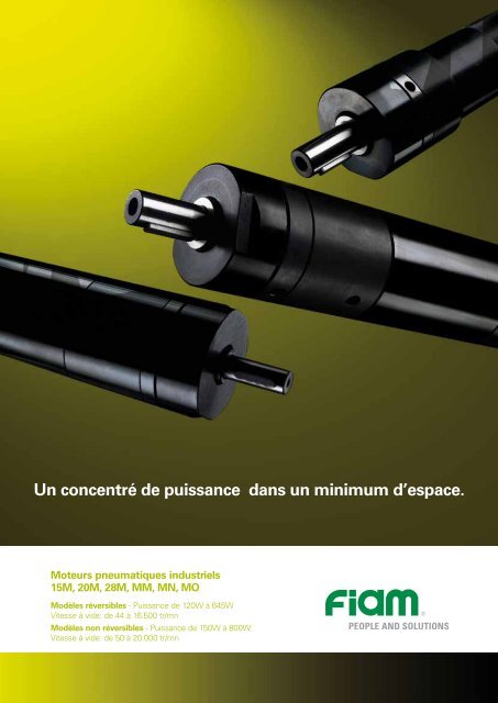 Moteurs pneumatiques industriels - Fiam