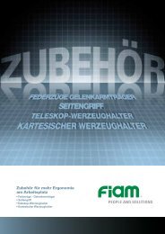 PDF zum Download - Fiam