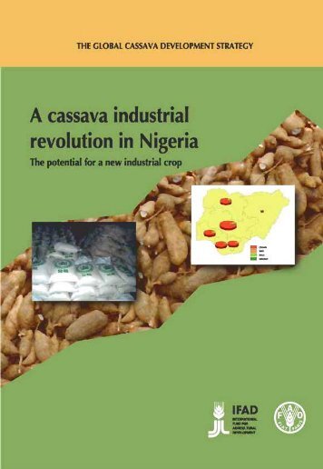 CASSAVA OPPORTUNTIES IN NIGERIA - FAO.org