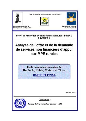 Etude_offre & demande SNF_Rapport final - Groupe thématique de ...