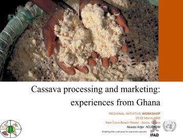 Cassava processing and marketing: experiences from ... - FIDAfrique